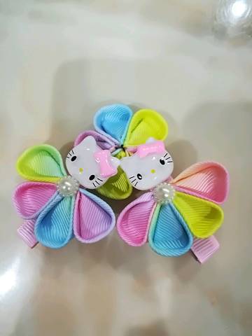 journal_insert_pic_1021167371