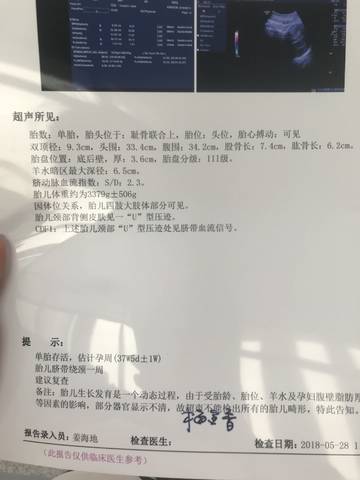 journal_insert_pic_1021808797