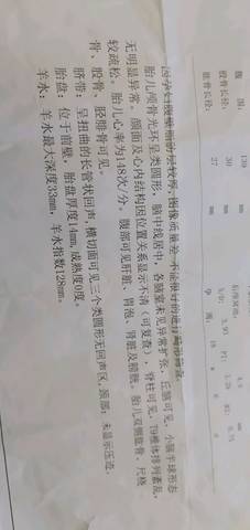 journal_insert_pic_1021830278