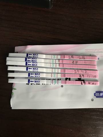 journal_insert_pic_1022661584