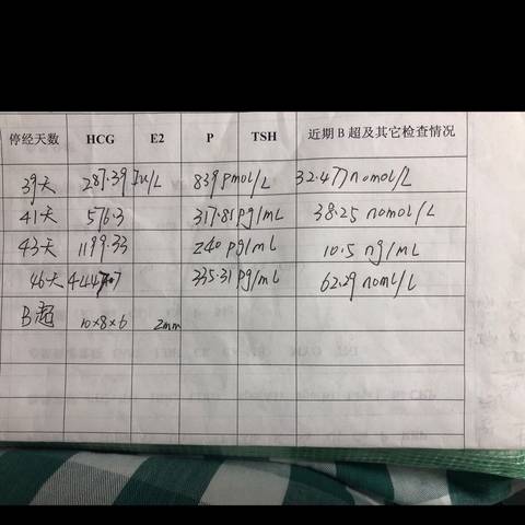 journal_insert_pic_1022813746