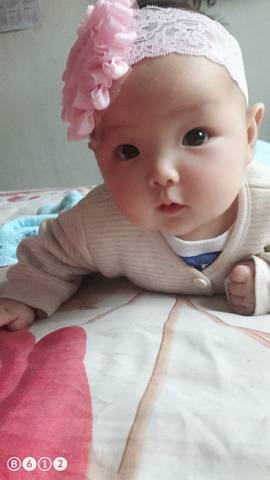 journal_insert_pic_1022518570