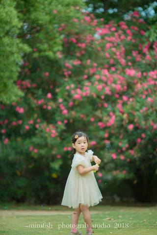 journal_insert_pic_1023516104