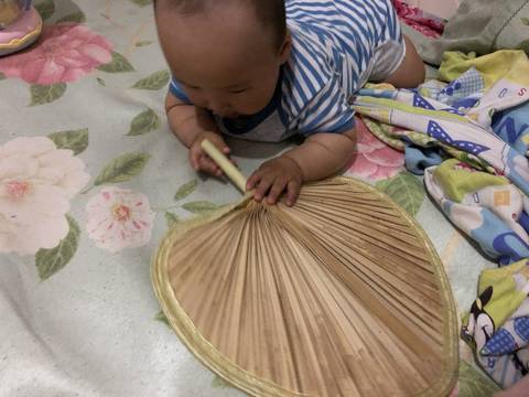 journal_insert_pic_1023579981