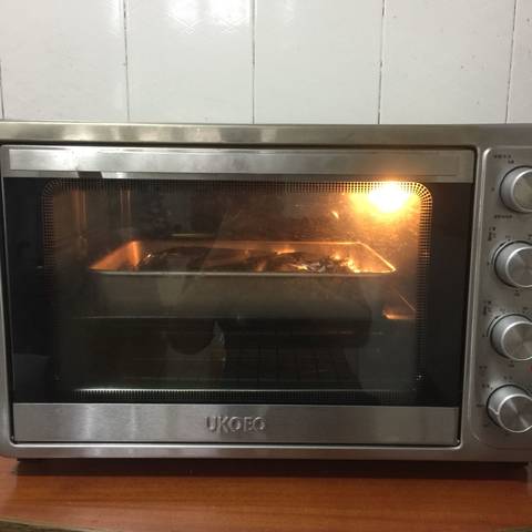 journal_insert_pic_1023634187