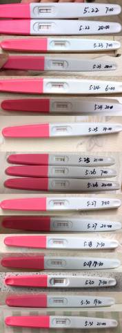 journal_insert_pic_1024378033