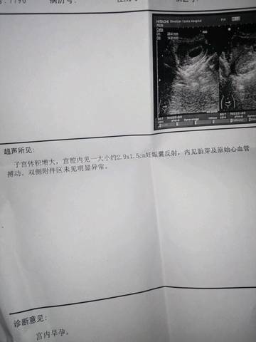 journal_insert_pic_1023995531
