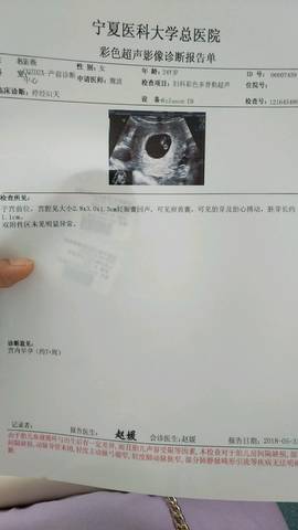 journal_insert_pic_1024060433