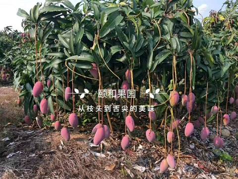 journal_insert_pic_1023810709