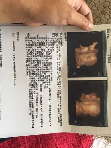 journal_insert_pic_1024946373