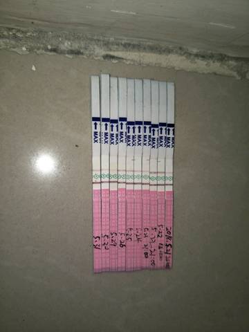 journal_insert_pic_1024546010