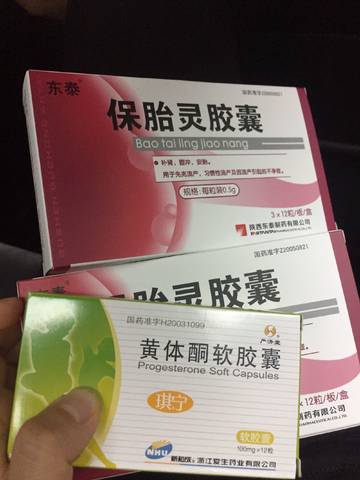 journal_insert_pic_1025588742
