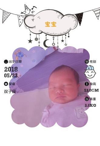 journal_insert_pic_1026558371