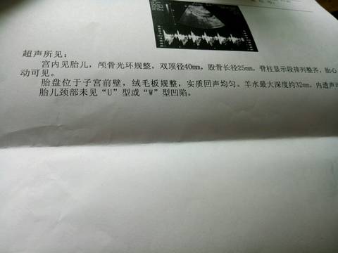 journal_insert_pic_1026374023