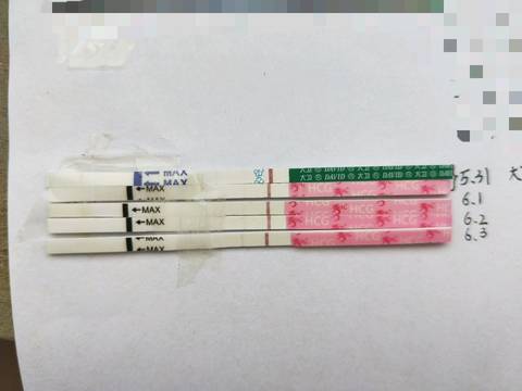 journal_insert_pic_1026228148