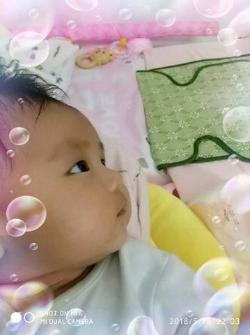 journal_insert_pic_1026365931