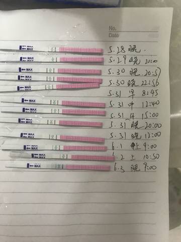 journal_insert_pic_1026747446