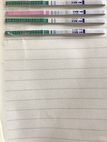 journal_insert_pic_1027420128
