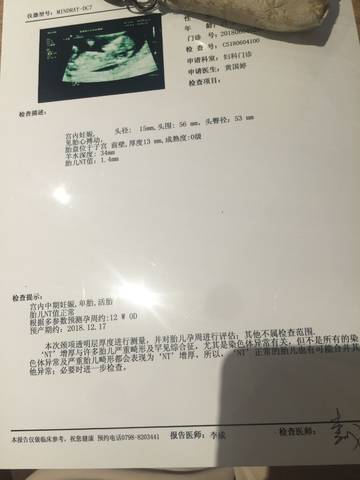journal_insert_pic_1027424979