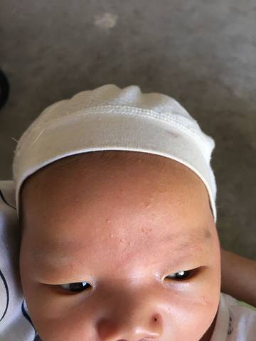 journal_insert_pic_1027144378