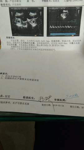 journal_insert_pic_1027981433