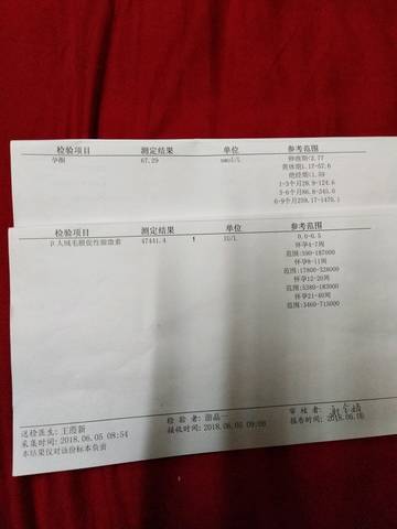 journal_insert_pic_1028421227