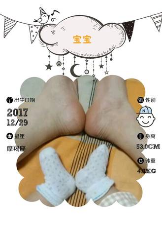 journal_insert_pic_1029039056