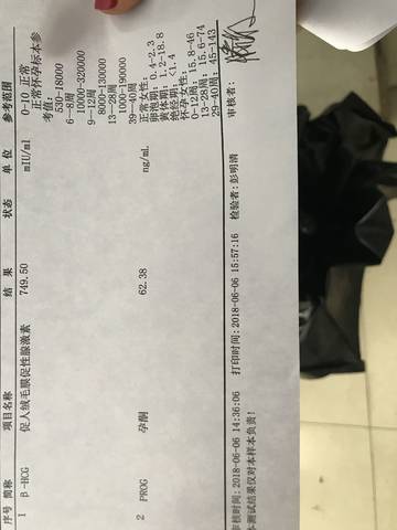 journal_insert_pic_1029066917