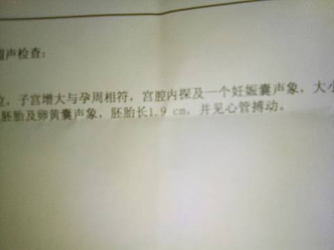 journal_insert_pic_1028835012