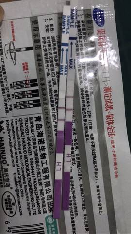 journal_insert_pic_1029429386
