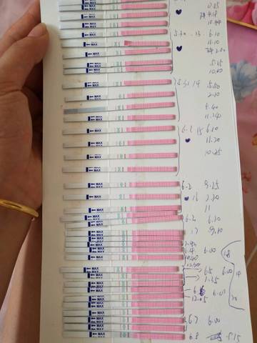 journal_insert_pic_1030091144
