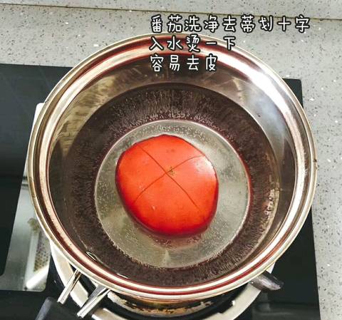 journal_insert_pic_1030055099