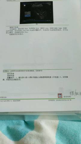 journal_insert_pic_1030410427
