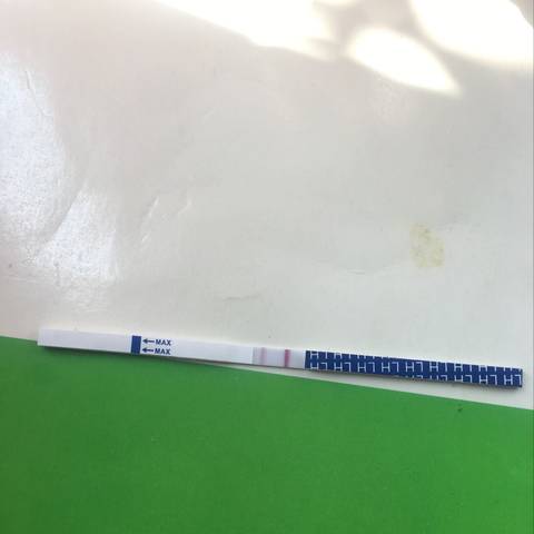 journal_insert_pic_1030821593
