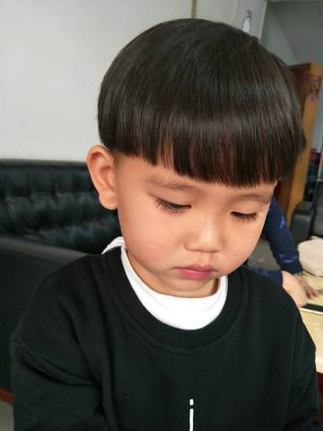 journal_insert_pic_1031106794