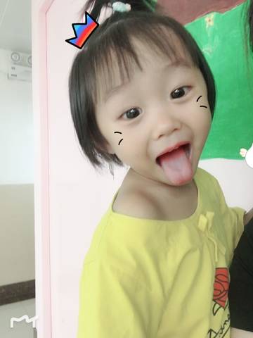 journal_insert_pic_1033112342