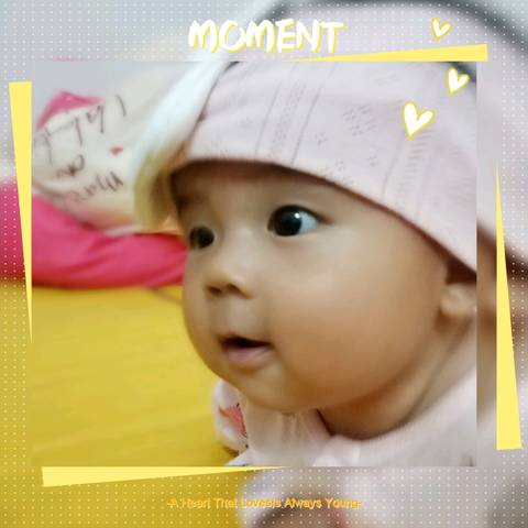 journal_insert_pic_1032884108