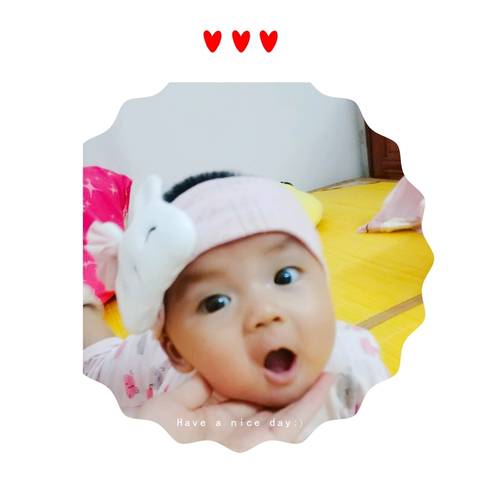 journal_insert_pic_1032884103