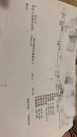 journal_insert_pic_1034020905