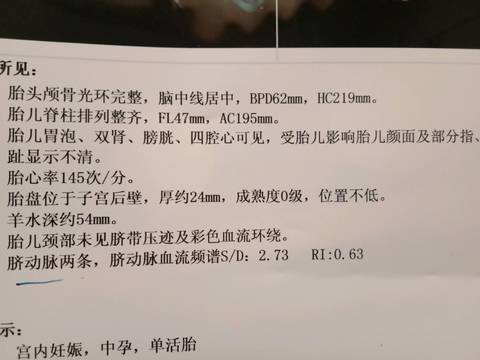 journal_insert_pic_1033865000