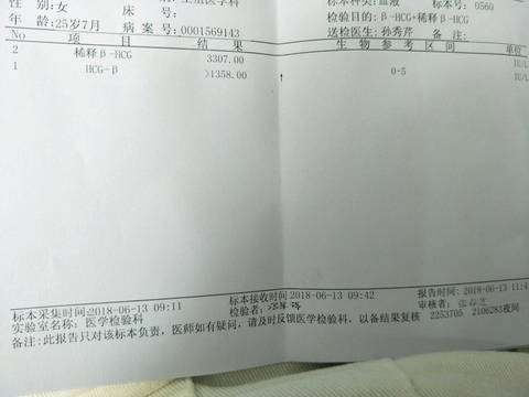 journal_insert_pic_1033839379