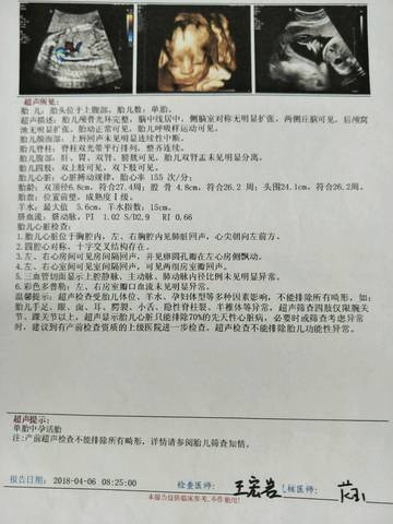 journal_insert_pic_1033818694