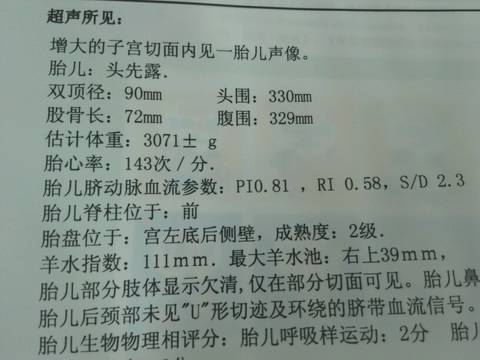 journal_insert_pic_1034711252