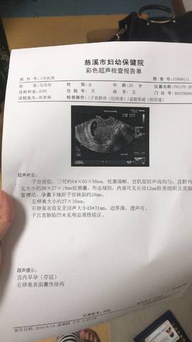 journal_insert_pic_1034629199