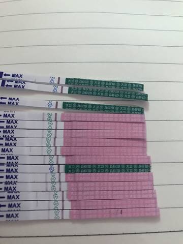 journal_insert_pic_1034720706