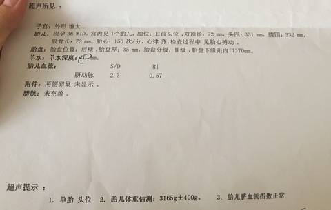 journal_insert_pic_1034819929