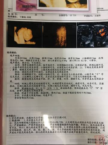 journal_insert_pic_1035458572
