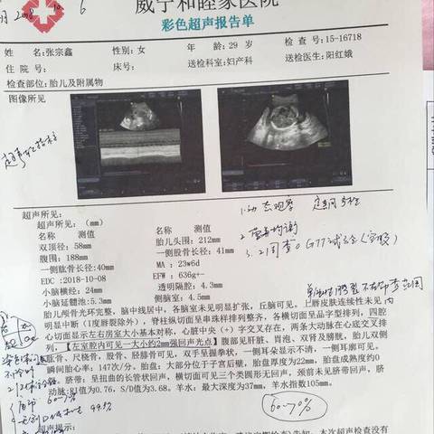 journal_insert_pic_1036178306