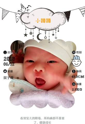 journal_insert_pic_1035728333
