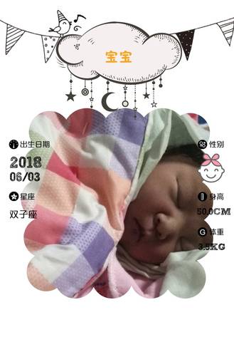 journal_insert_pic_1036351844